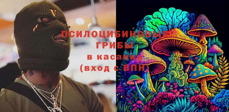 blacksprut tor  как найти   Козловка  Псилоцибиновые грибы Cubensis 